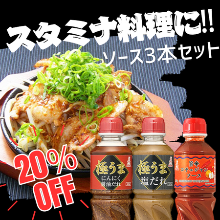 スタミナ料理におすすめソース3本セット