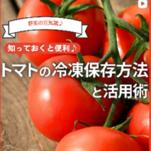 トマトの冷凍保存方法と活用術