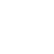 ここがポイント