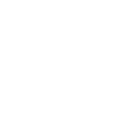 ここがポイント