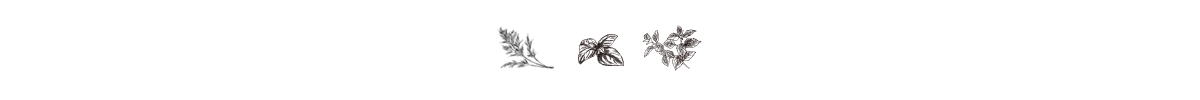 厳選素材のサラダ