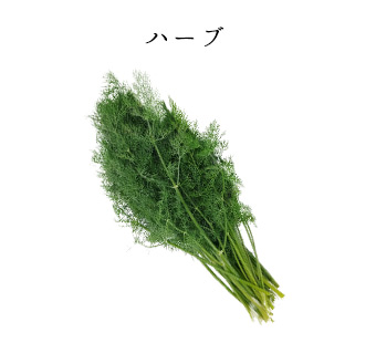 厳選ハーブ