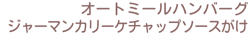 オートミールハンバーグジャーマンカリーケチャップソースが