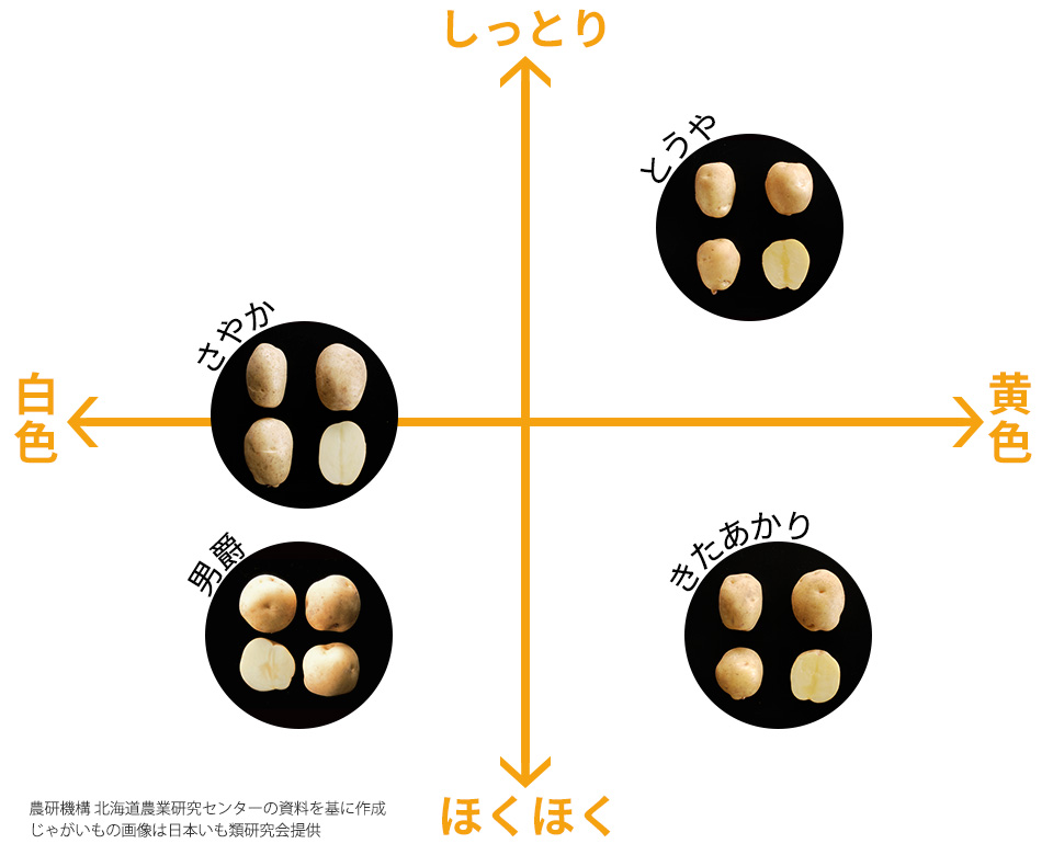 品種の特徴